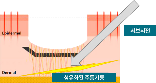 이미지02